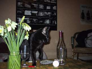 IMG_0186.JPG